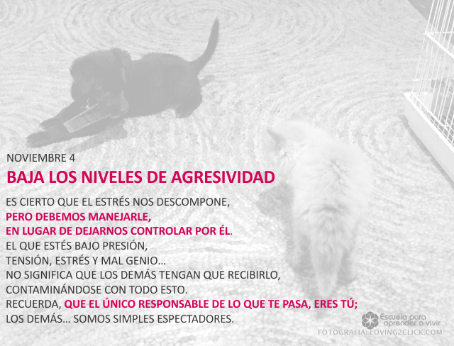Baja los niveles de agresividad